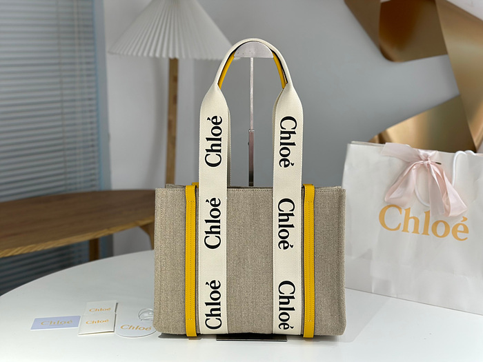 chl*e 우디백 미디움